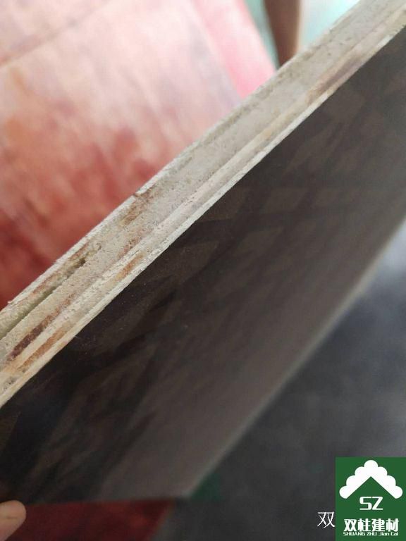 ����ģ�����a(ch��n)܇�g (191).jpg