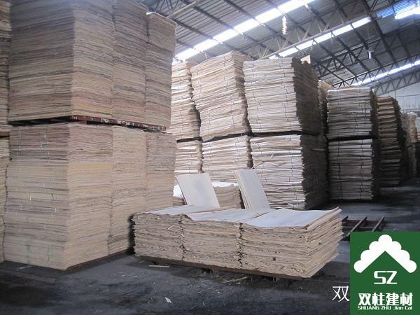 ����ģ�����a܇�g (3).jpg