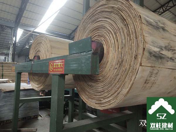 ����ģ�����a܇�g (16).jpg