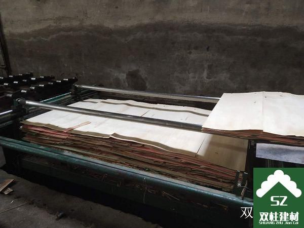 ����ģ�����a܇�g (14).jpg