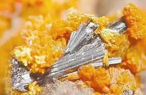 a604da7eb6d462b894700b783d58d6d3.jpg 6.jpg