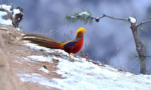 29f166561cebe49a262bfef62b82f8a0.jpg image006.jpg